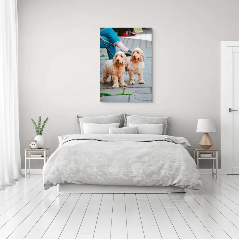 Tablou Canvas, "Doi câini plimbați pe trotuar", Câini, Lesă, Blană, Urechi, Trotoar, Haine, Usă, Verde, Trotinetă, 70 x 100 cm – poza 3