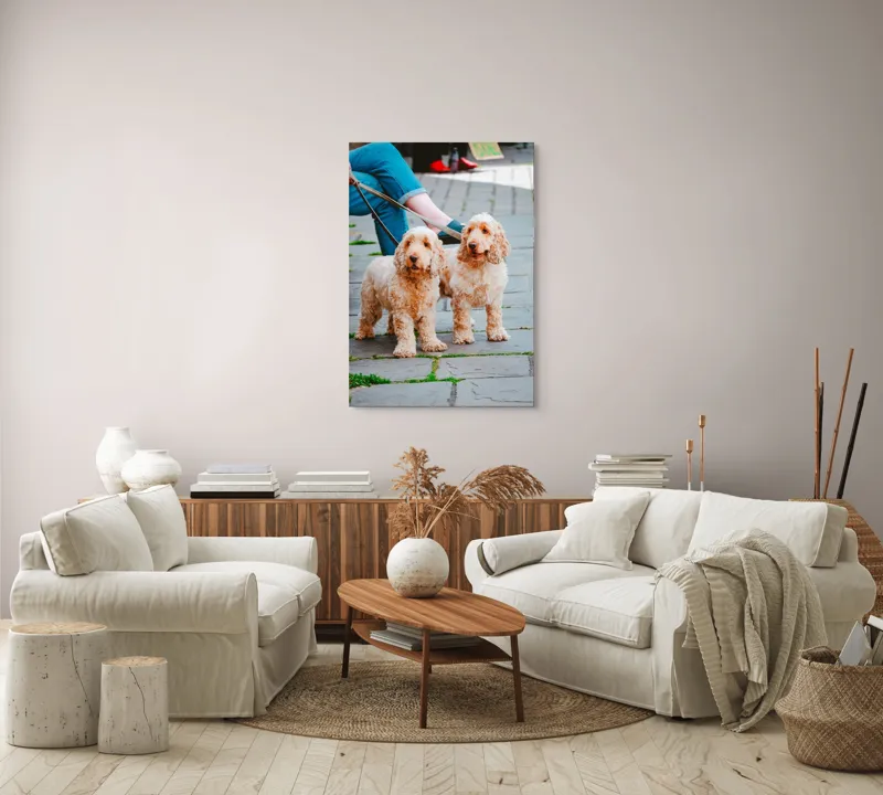 Tablou Canvas, "Doi câini plimbați pe trotuar", Câini, Lesă, Blană, Urechi, Trotoar, Haine, Usă, Verde, Trotinetă, 70 x 100 cm – poza 4