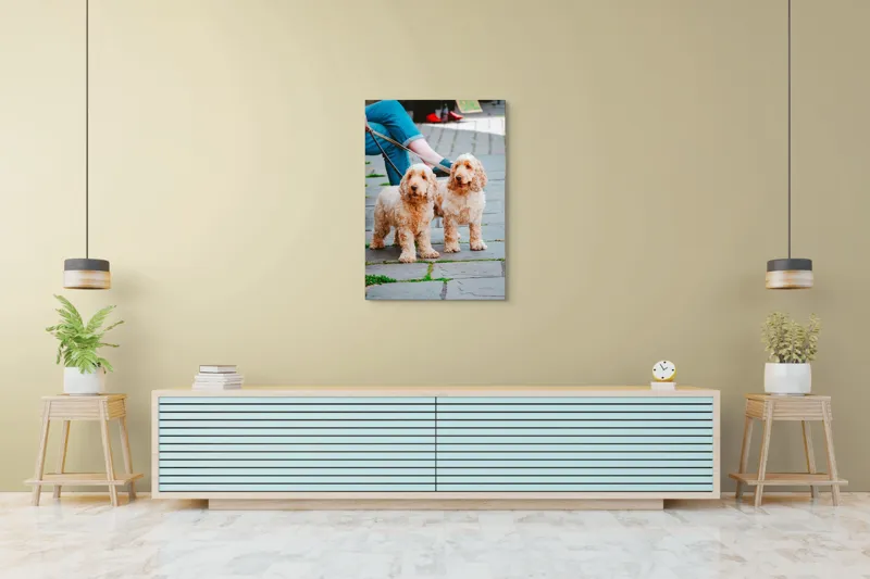 Tablou Canvas, "Doi câini plimbați pe trotuar", Câini, Lesă, Blană, Urechi, Trotoar, Haine, Usă, Verde, Trotinetă, 70 x 100 cm – poza 5