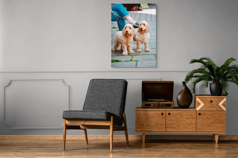 Tablou Canvas, "Doi câini plimbați pe trotuar", Câini, Lesă, Blană, Urechi, Trotoar, Haine, Usă, Verde, Trotinetă, 70 x 100 cm – poza 6