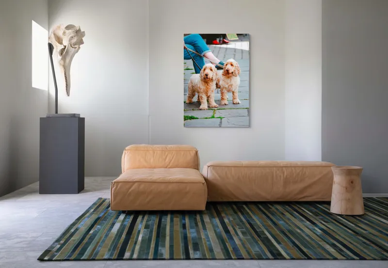 Tablou Canvas, "Doi câini plimbați pe trotuar", Câini, Lesă, Blană, Urechi, Trotoar, Haine, Usă, Verde, Trotinetă, 70 x 100 cm – poza 7