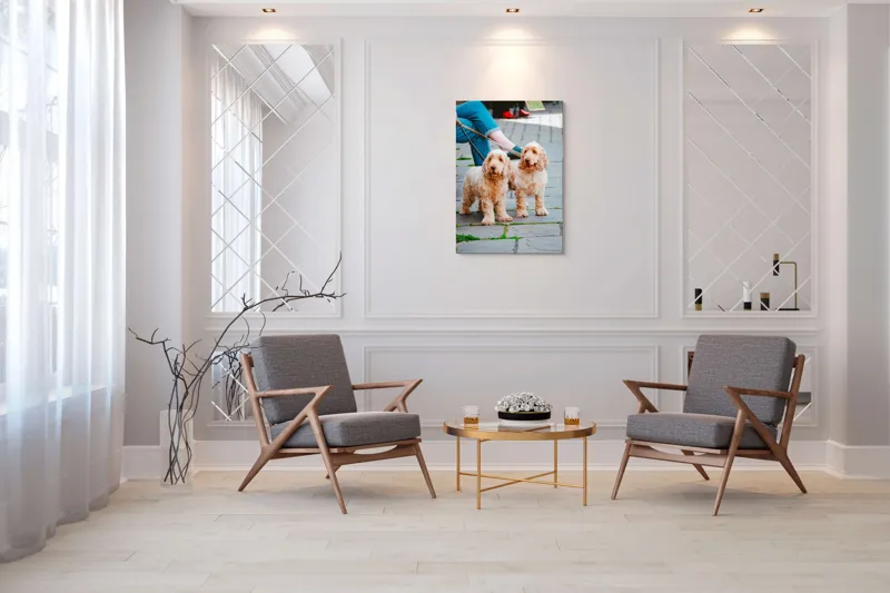 Tablou Canvas, "Doi câini plimbați pe trotuar", Câini, Lesă, Blană, Urechi, Trotoar, Haine, Usă, Verde, Trotinetă, 70 x 100 cm – poza 8