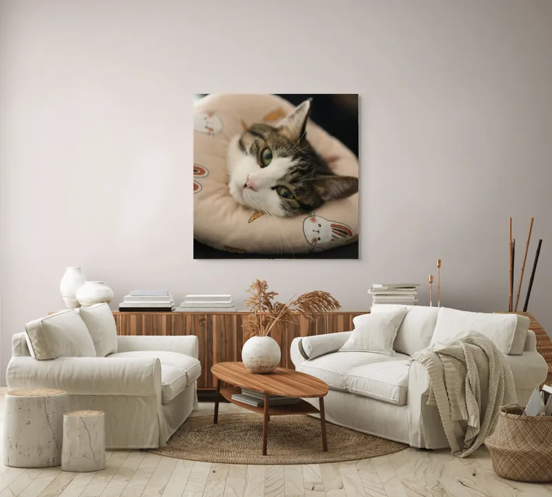 Tablou Canvas, "Pisica odihnindu-se pe perna iepurașului", Pisică, Pernă, Relaxare, Iepurași, Blană, Ochi Verzi, Odihnă, Drăgălaș., 100 x 100 cm – poza 3