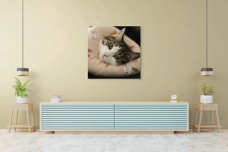 Tablou Canvas, "Pisica odihnindu-se pe perna iepurașului", Pisică, Pernă, Relaxare, Iepurași, Blană, Ochi Verzi, Odihnă, Drăgălaș., 100 x 100 cm – poza 5