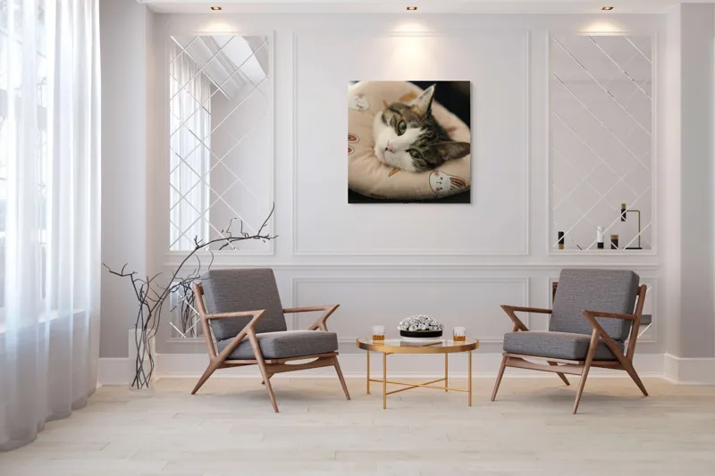 Tablou Canvas, "Pisica odihnindu-se pe perna iepurașului", Pisică, Pernă, Relaxare, Iepurași, Blană, Ochi Verzi, Odihnă, Drăgălaș., 100 x 100 cm – poza 7