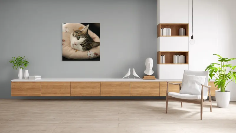 Tablou Canvas, "Pisica odihnindu-se pe perna iepurașului", Pisică, Pernă, Relaxare, Iepurași, Blană, Ochi Verzi, Odihnă, Drăgălaș., 100 x 100 cm – poza 8