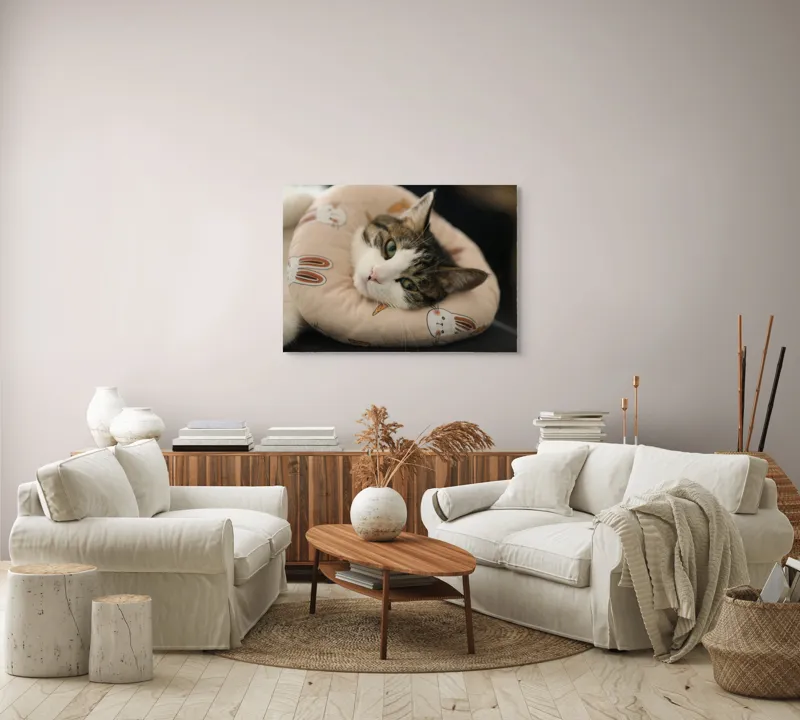 Tablou Canvas, "Pisica odihnindu-se pe perna iepurașului", Pisică, Pernă, Relaxare, Iepurași, Blană, Ochi Verzi, Odihnă, Drăgălaș., 100 x 70 cm – poza 3
