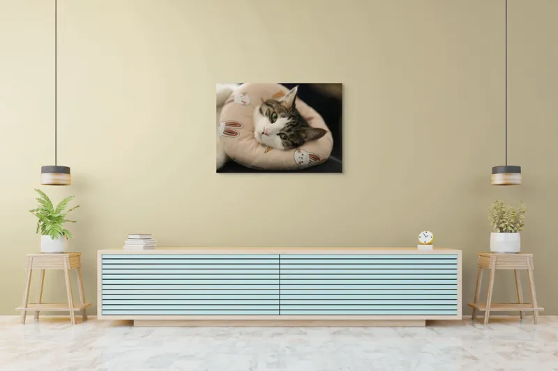 Tablou Canvas, "Pisica odihnindu-se pe perna iepurașului", Pisică, Pernă, Relaxare, Iepurași, Blană, Ochi Verzi, Odihnă, Drăgălaș., 100 x 70 cm – poza 4