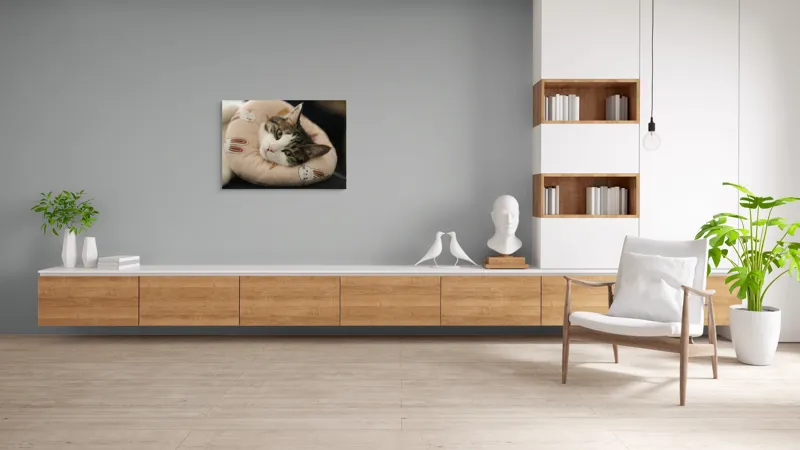 Tablou Canvas, "Pisica odihnindu-se pe perna iepurașului", Pisică, Pernă, Relaxare, Iepurași, Blană, Ochi Verzi, Odihnă, Drăgălaș., 100 x 70 cm – poza 6