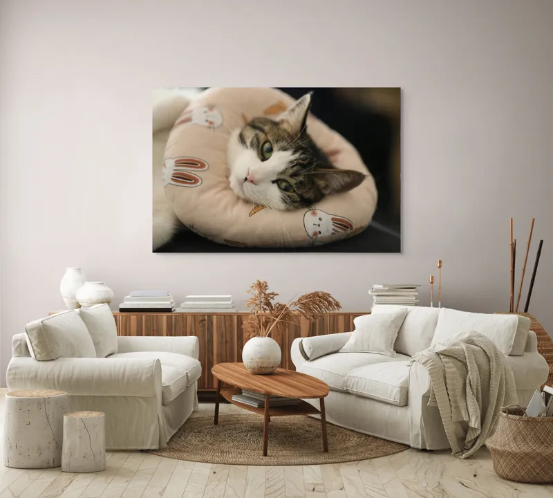 Tablou Canvas, "Pisica odihnindu-se pe perna iepurașului", Pisică, Pernă, Relaxare, Iepurași, Blană, Ochi Verzi, Odihnă, Drăgălaș., 150 x 100 cm – poza 3