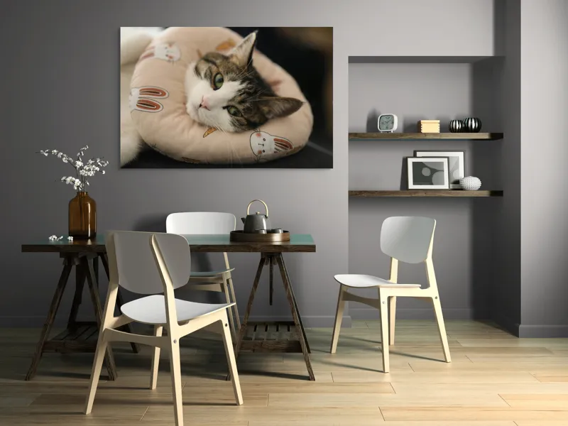 Tablou Canvas, "Pisica odihnindu-se pe perna iepurașului", Pisică, Pernă, Relaxare, Iepurași, Blană, Ochi Verzi, Odihnă, Drăgălaș., 150 x 100 cm – poza 5