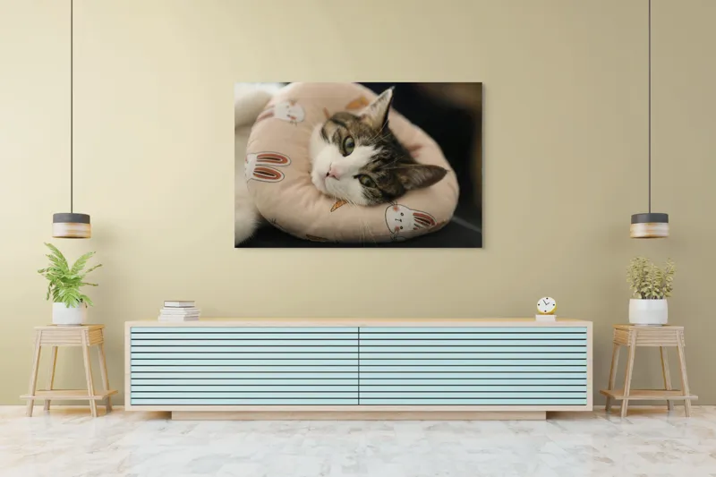 Tablou Canvas, "Pisica odihnindu-se pe perna iepurașului", Pisică, Pernă, Relaxare, Iepurași, Blană, Ochi Verzi, Odihnă, Drăgălaș., 150 x 100 cm – poza 6