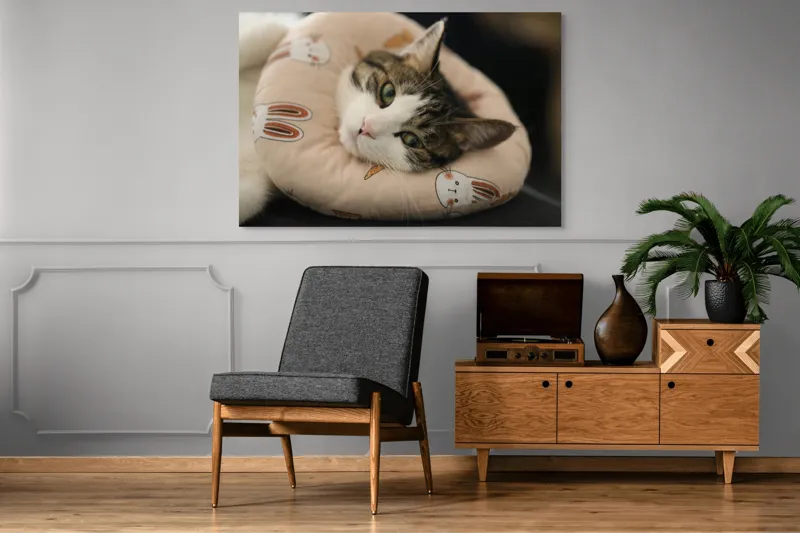 Tablou Canvas, "Pisica odihnindu-se pe perna iepurașului", Pisică, Pernă, Relaxare, Iepurași, Blană, Ochi Verzi, Odihnă, Drăgălaș., 150 x 100 cm – poza 8