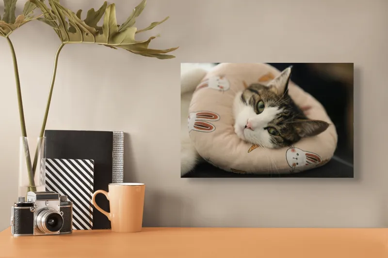 Tablou Canvas, "Pisica odihnindu-se pe perna iepurașului", Pisică, Pernă, Relaxare, Iepurași, Blană, Ochi Verzi, Odihnă, Drăgălaș., 39 x 26 cm – poza 3