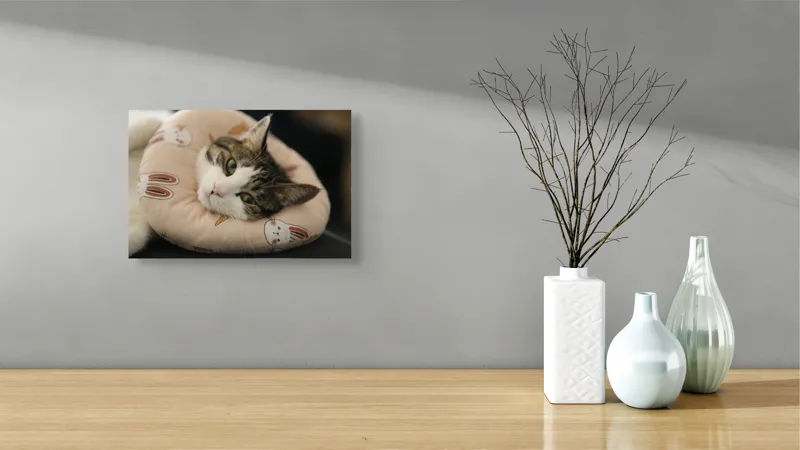 Tablou Canvas, "Pisica odihnindu-se pe perna iepurașului", Pisică, Pernă, Relaxare, Iepurași, Blană, Ochi Verzi, Odihnă, Drăgălaș., 39 x 26 cm – poza 8