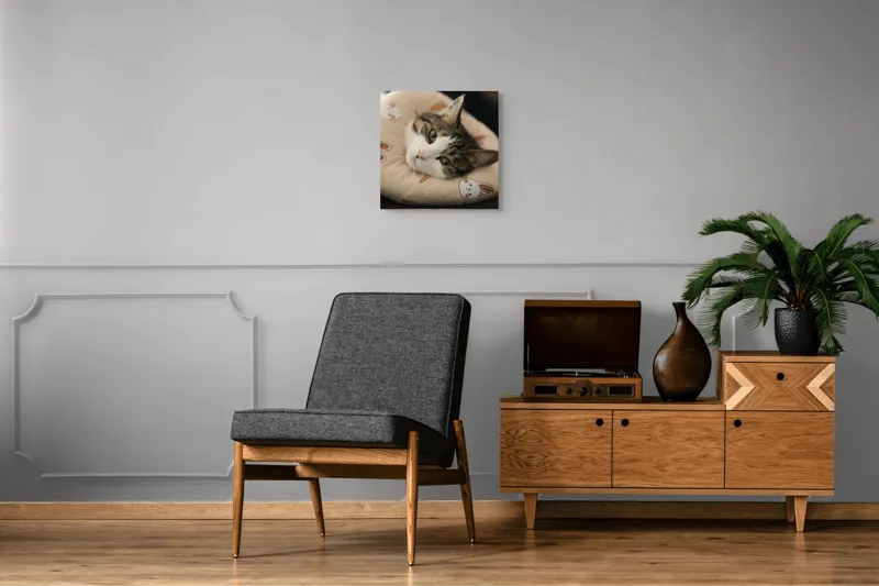 Tablou Canvas, "Pisica odihnindu-se pe perna iepurașului", Pisică, Pernă, Relaxare, Iepurași, Blană, Ochi Verzi, Odihnă, Drăgălaș., 50 x 50 cm – poza 6