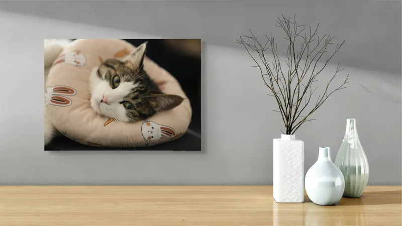 Tablou Canvas, "Pisica odihnindu-se pe perna iepurașului", Pisică, Pernă, Relaxare, Iepurași, Blană, Ochi Verzi, Odihnă, Drăgălaș., 54 x 39 cm – poza 3