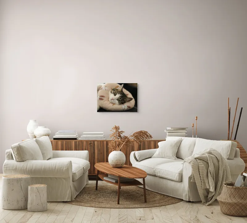 Tablou Canvas, "Pisica odihnindu-se pe perna iepurașului", Pisică, Pernă, Relaxare, Iepurași, Blană, Ochi Verzi, Odihnă, Drăgălaș., 54 x 39 cm – poza 5