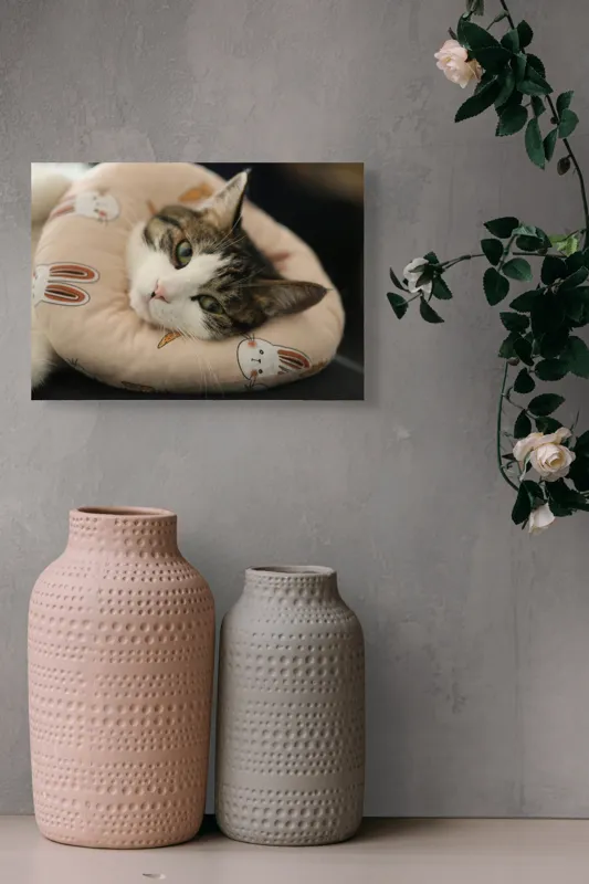 Tablou Canvas, "Pisica odihnindu-se pe perna iepurașului", Pisică, Pernă, Relaxare, Iepurași, Blană, Ochi Verzi, Odihnă, Drăgălaș., 54 x 39 cm – poza 8