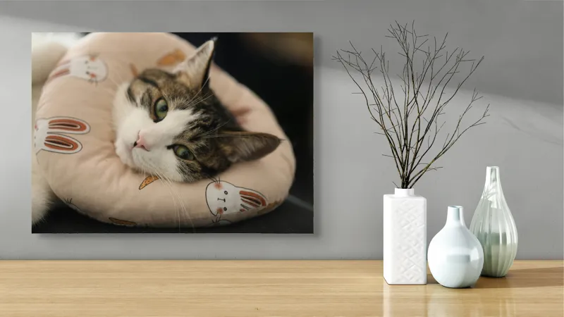 Tablou Canvas, "Pisica odihnindu-se pe perna iepurașului", Pisică, Pernă, Relaxare, Iepurași, Blană, Ochi Verzi, Odihnă, Drăgălaș., 70 x 50 cm – poza 3