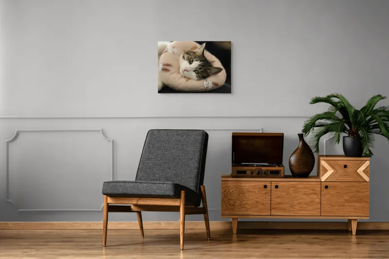Tablou Canvas, "Pisica odihnindu-se pe perna iepurașului", Pisică, Pernă, Relaxare, Iepurași, Blană, Ochi Verzi, Odihnă, Drăgălaș., 70 x 50 cm – poza 4
