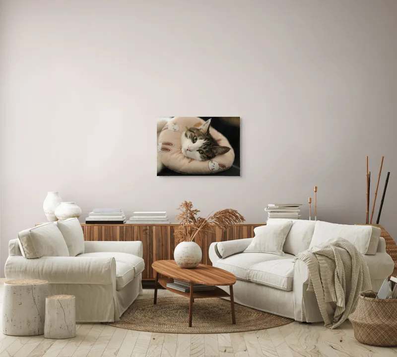 Tablou Canvas, "Pisica odihnindu-se pe perna iepurașului", Pisică, Pernă, Relaxare, Iepurași, Blană, Ochi Verzi, Odihnă, Drăgălaș., 70 x 50 cm – poza 6