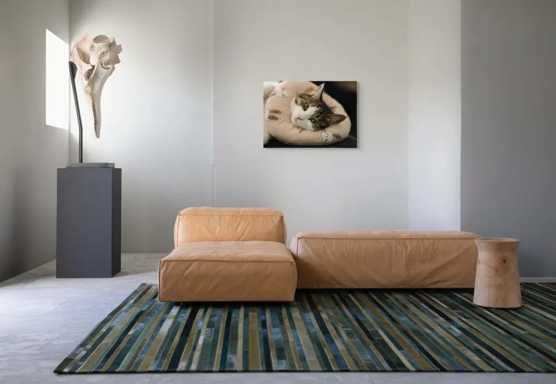 Tablou Canvas, "Pisica odihnindu-se pe perna iepurașului", Pisică, Pernă, Relaxare, Iepurași, Blană, Ochi Verzi, Odihnă, Drăgălaș., 70 x 50 cm – poza 8