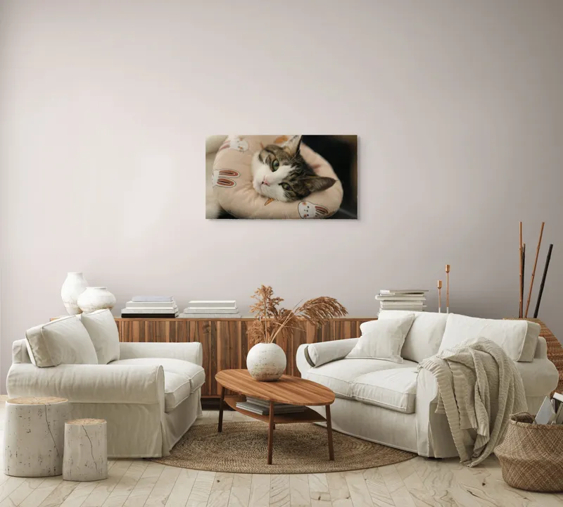 Tablou Canvas, "Pisica odihnindu-se pe perna iepurașului", Pisică, Pernă, Relaxare, Iepurași, Blană, Ochi Verzi, Odihnă, Drăgălaș., 90 x 50 cm – poza 4