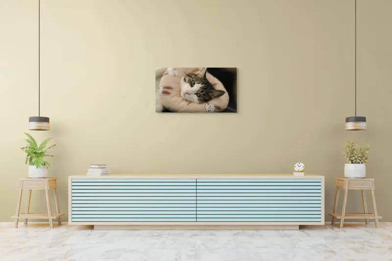 Tablou Canvas, "Pisica odihnindu-se pe perna iepurașului", Pisică, Pernă, Relaxare, Iepurași, Blană, Ochi Verzi, Odihnă, Drăgălaș., 90 x 50 cm – poza 5