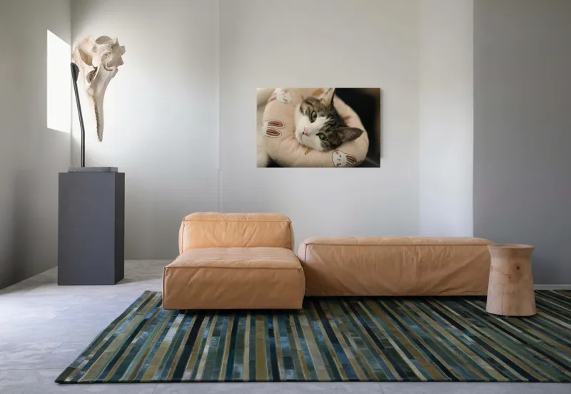 Tablou Canvas, "Pisica odihnindu-se pe perna iepurașului", Pisică, Pernă, Relaxare, Iepurași, Blană, Ochi Verzi, Odihnă, Drăgălaș., 90 x 50 cm – poza 8