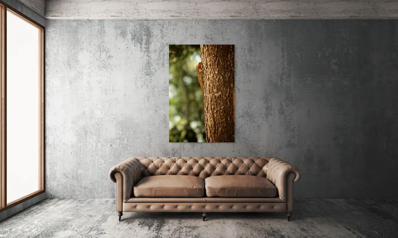 Tablou Canvas, "Scalarea copacului în amurgă blândă", Șopârlă, Arbore, Textură, Culoare, Natură, Frunziș, Verticalitate, Cățărare, Soare, Mediu., 100 x 150 cm – poza 6