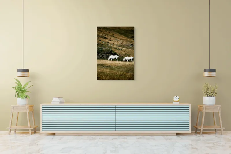 Tablou Canvas, "Cai albi păşunând pe dealuri alpine", Cai, Albi, Pășune, Munți, Vânt, Iarbă, Stânci, Liniște, Natură, Sălbăticie, 70 x 100 cm – poza 5