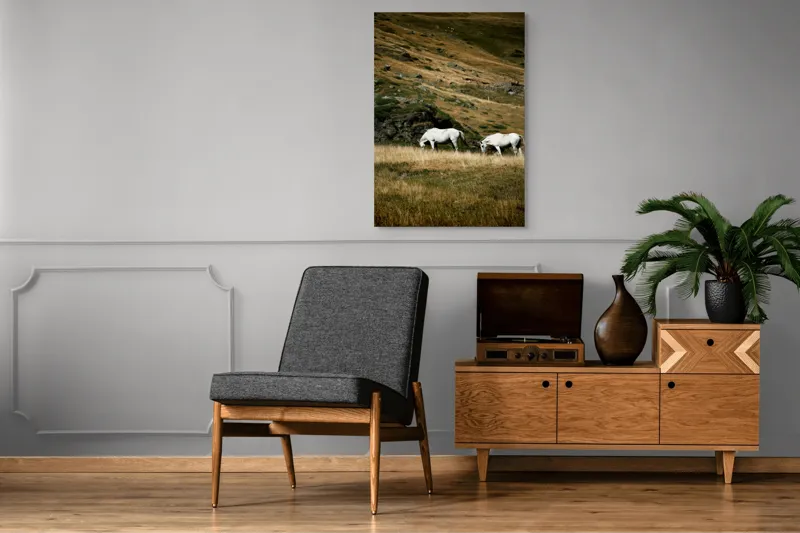 Tablou Canvas, "Cai albi păşunând pe dealuri alpine", Cai, Albi, Pășune, Munți, Vânt, Iarbă, Stânci, Liniște, Natură, Sălbăticie, 70 x 100 cm – poza 6