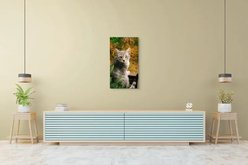 Tablou Canvas, "Pisica argintie in mijlocul naturii", Pisică, Gri, Ochi, Curiozitate, Blană, Tufiș, Frunze, Privire, Natură, Peisaj., 50 x 90 cm – poza 6