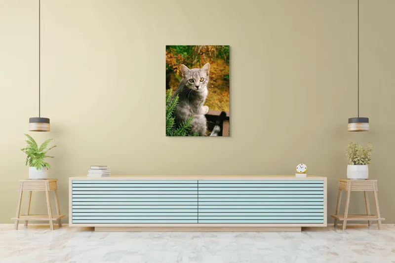 Tablou Canvas, "Pisica argintie in mijlocul naturii", Pisică, Gri, Ochi, Curiozitate, Blană, Tufiș, Frunze, Privire, Natură, Peisaj., 70 x 100 cm – poza 5