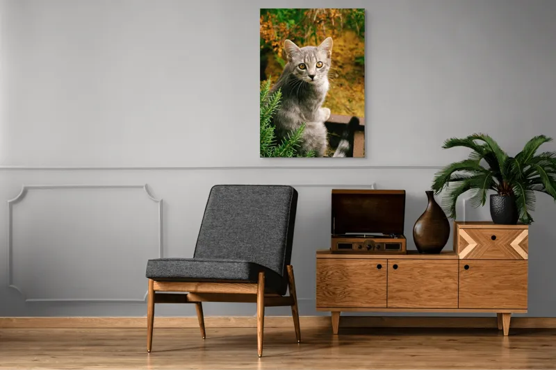 Tablou Canvas, "Pisica argintie in mijlocul naturii", Pisică, Gri, Ochi, Curiozitate, Blană, Tufiș, Frunze, Privire, Natură, Peisaj., 70 x 100 cm – poza 6