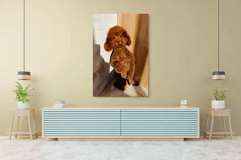 Tablou Canvas, "Cățel jucăuș la soare de dimineață", Câine, Blănos, Maro, Luminos, Drăgălaș, Poziție, Bucurie, Umbră, 100 x 150 cm – poza 4