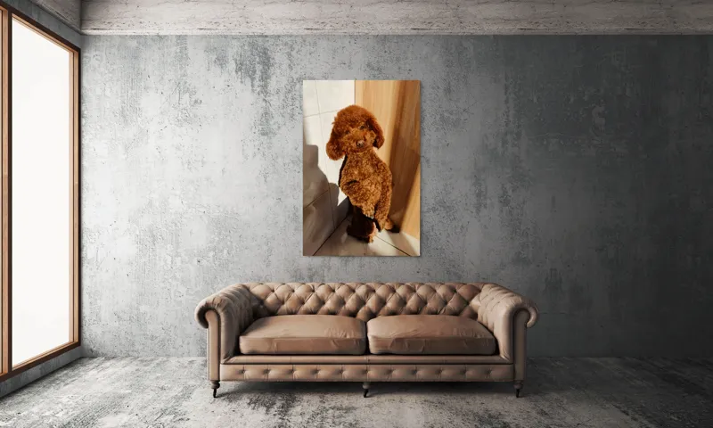 Tablou Canvas, "Cățel jucăuș la soare de dimineață", Câine, Blănos, Maro, Luminos, Drăgălaș, Poziție, Bucurie, Umbră, 100 x 150 cm – poza 6