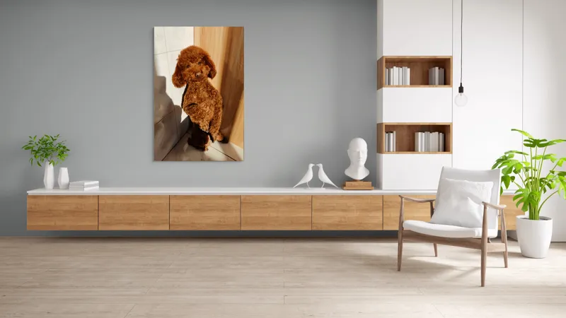 Tablou Canvas, "Cățel jucăuș la soare de dimineață", Câine, Blănos, Maro, Luminos, Drăgălaș, Poziție, Bucurie, Umbră, 100 x 150 cm – poza 8