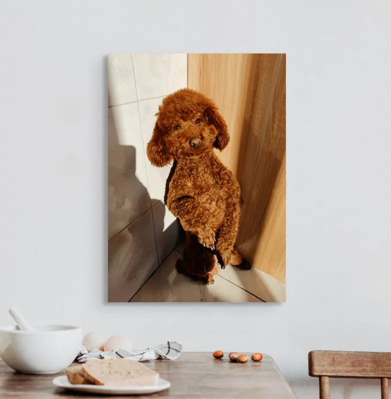 Tablou Canvas, "Cățel jucăuș la soare de dimineață", Câine, Blănos, Maro, Luminos, Drăgălaș, Poziție, Bucurie, Umbră, 50 x 70 cm – poza 3