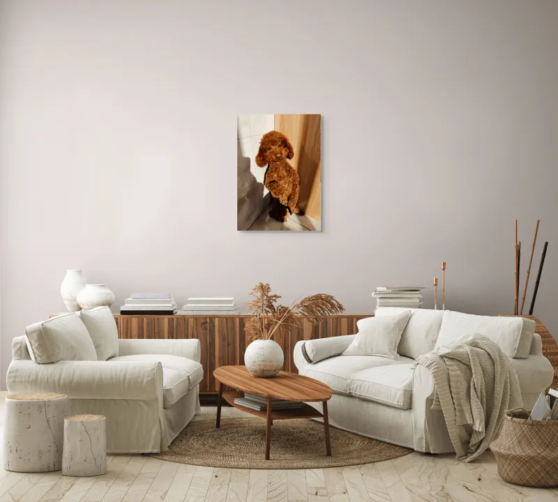 Tablou Canvas, "Cățel jucăuș la soare de dimineață", Câine, Blănos, Maro, Luminos, Drăgălaș, Poziție, Bucurie, Umbră, 50 x 70 cm – poza 4