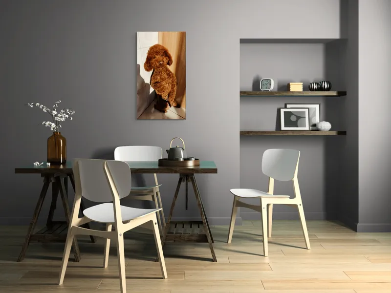 Tablou Canvas, "Cățel jucăuș la soare de dimineață", Câine, Blănos, Maro, Luminos, Drăgălaș, Poziție, Bucurie, Umbră, 50 x 90 cm – poza 4