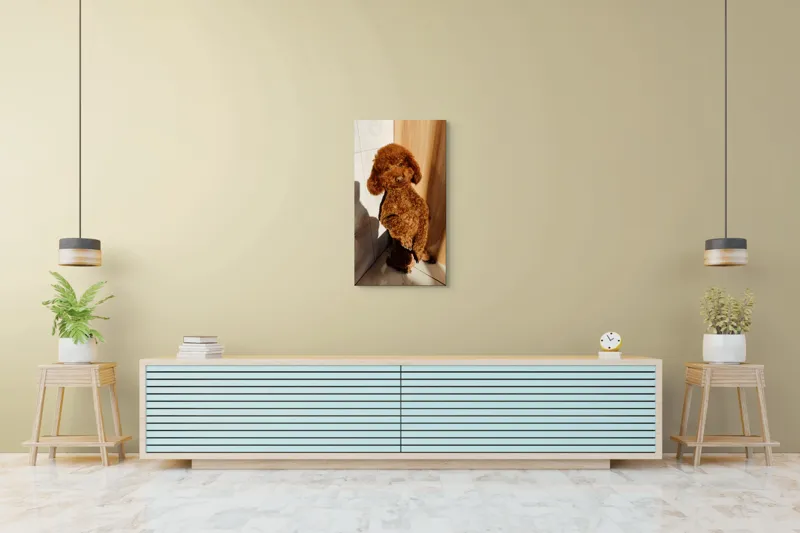 Tablou Canvas, "Cățel jucăuș la soare de dimineață", Câine, Blănos, Maro, Luminos, Drăgălaș, Poziție, Bucurie, Umbră, 50 x 90 cm – poza 6