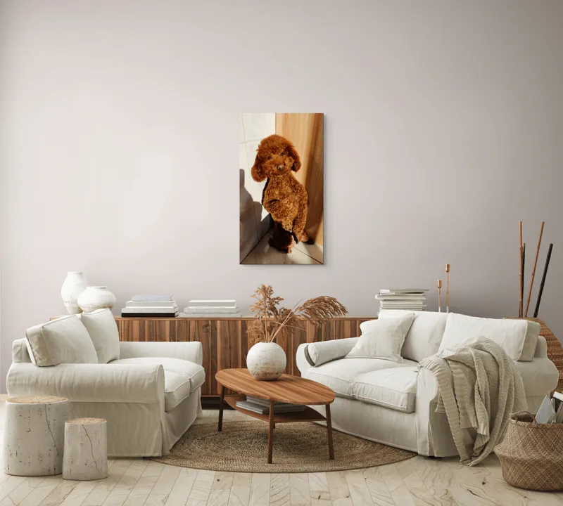 Tablou Canvas, "Cățel jucăuș la soare de dimineață", Câine, Blănos, Maro, Luminos, Drăgălaș, Poziție, Bucurie, Umbră, 50 x 90 cm – poza 7