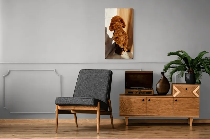 Tablou Canvas, "Cățel jucăuș la soare de dimineață", Câine, Blănos, Maro, Luminos, Drăgălaș, Poziție, Bucurie, Umbră, 50 x 90 cm – poza 8
