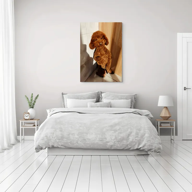 Tablou Canvas, "Cățel jucăuș la soare de dimineață", Câine, Blănos, Maro, Luminos, Drăgălaș, Poziție, Bucurie, Umbră, 70 x 100 cm – poza 3