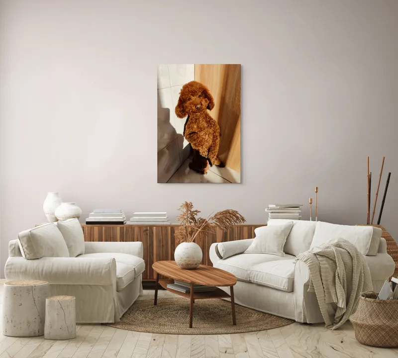 Tablou Canvas, "Cățel jucăuș la soare de dimineață", Câine, Blănos, Maro, Luminos, Drăgălaș, Poziție, Bucurie, Umbră, 70 x 100 cm – poza 4