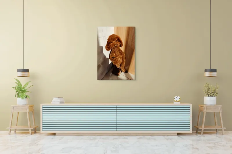 Tablou Canvas, "Cățel jucăuș la soare de dimineață", Câine, Blănos, Maro, Luminos, Drăgălaș, Poziție, Bucurie, Umbră, 70 x 100 cm – poza 5