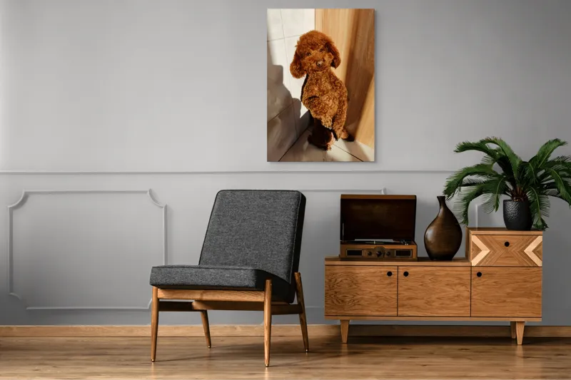 Tablou Canvas, "Cățel jucăuș la soare de dimineață", Câine, Blănos, Maro, Luminos, Drăgălaș, Poziție, Bucurie, Umbră, 70 x 100 cm – poza 6