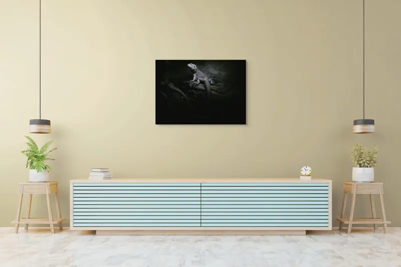 Tablou Canvas, "Șopârle în întunericul nocturn liniștit", Întuneric, Șopârlă, Stâncă, Textură, Mister, Reflexie, 100 x 70 cm – poza 4